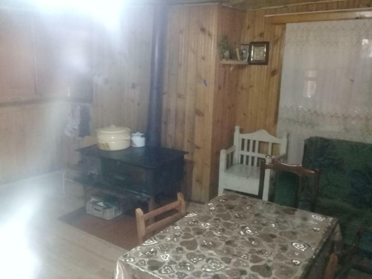 Koba Qaldanis Guest House Adishi Екстериор снимка