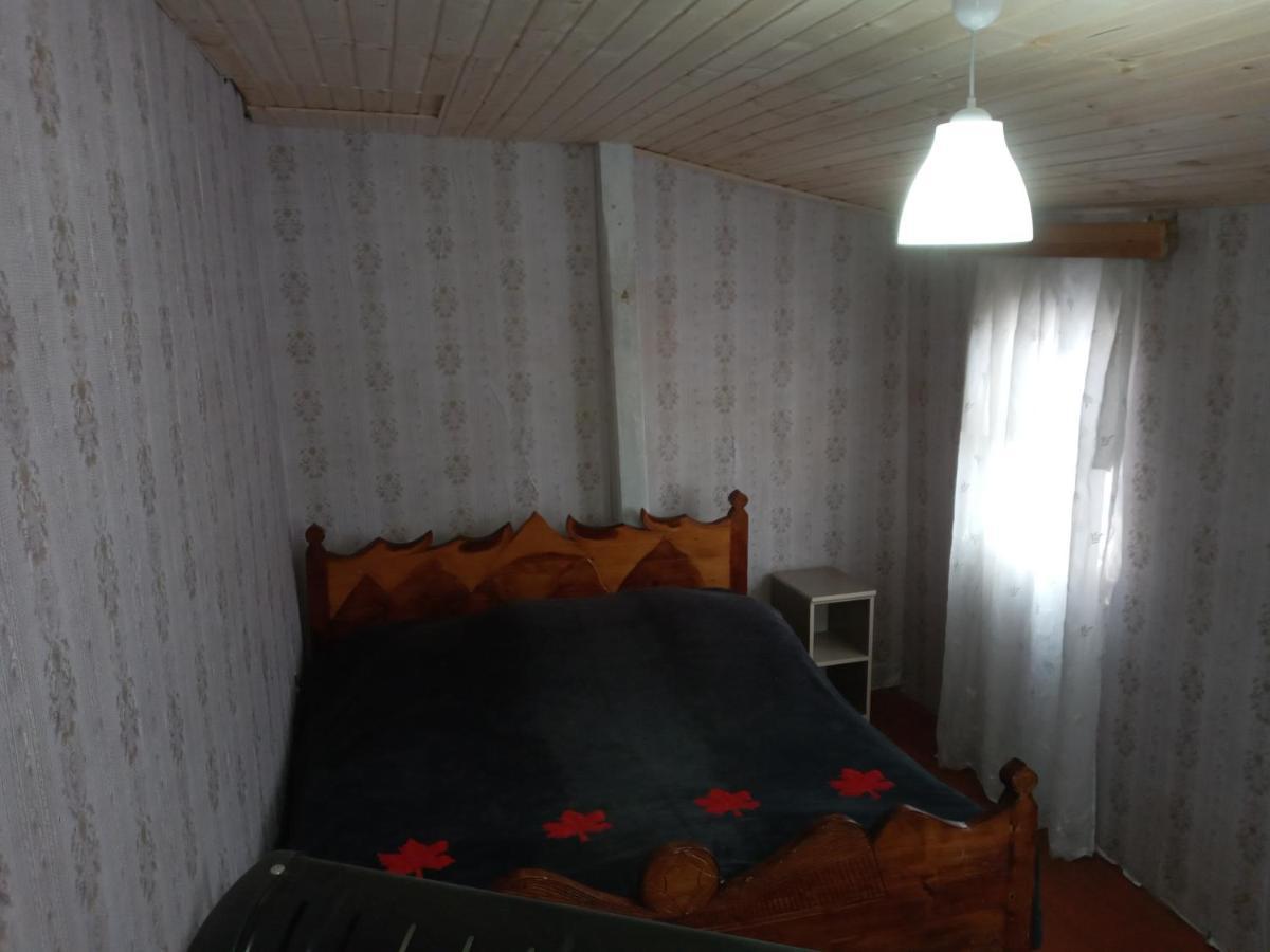 Koba Qaldanis Guest House Adishi Екстериор снимка